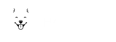 HauNow B2B